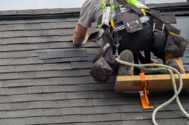 Roof Gutter Cleaning in Lake Dalecarlia, IN